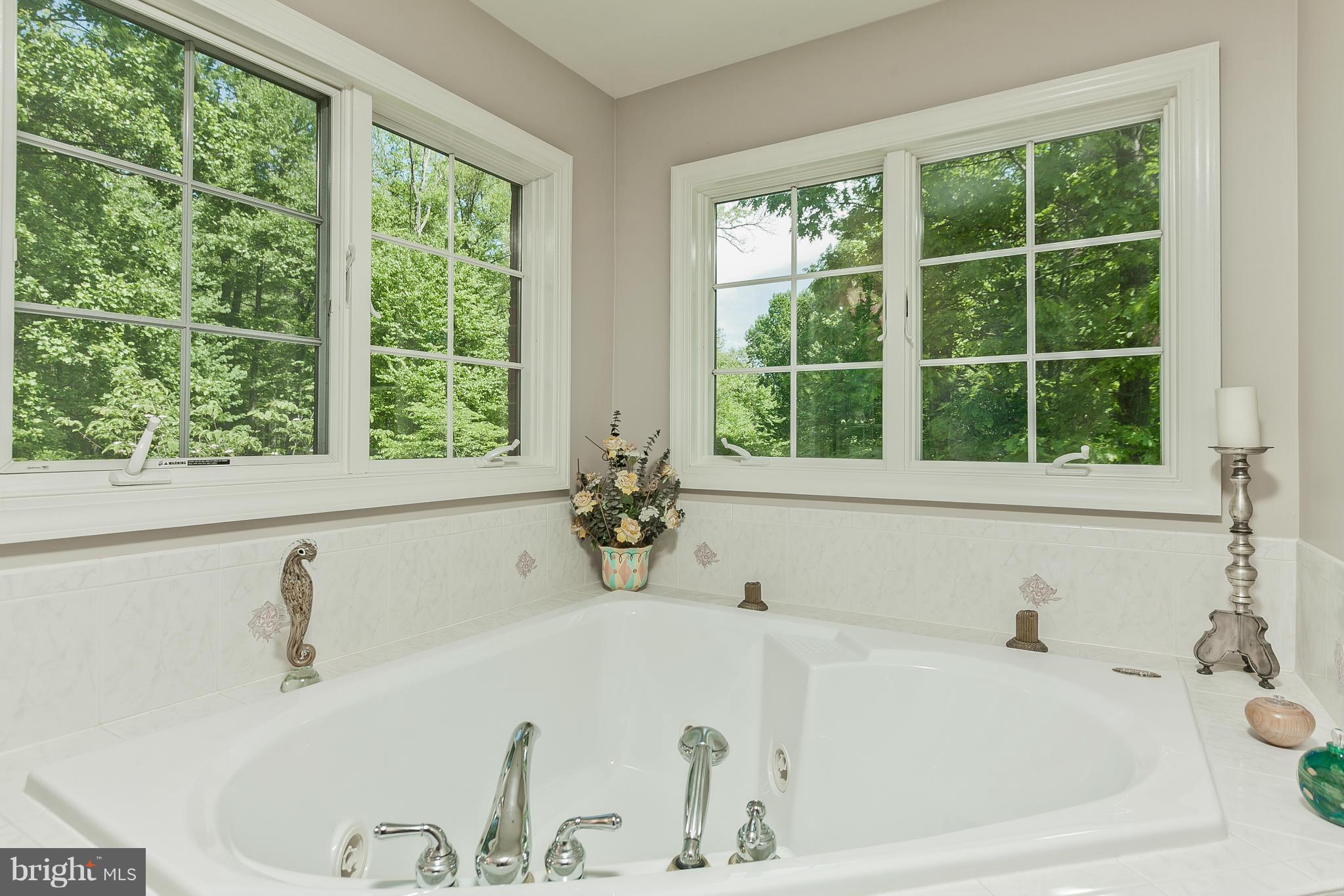 9821 Fox Road Frederick, MD 21702 - Photo 17 of 30 Bath (Master)