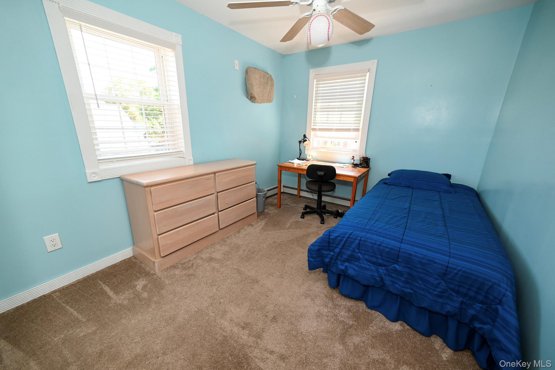 258 Rintin Street Franklin Square, NY 11010 - Photo 17 of 30