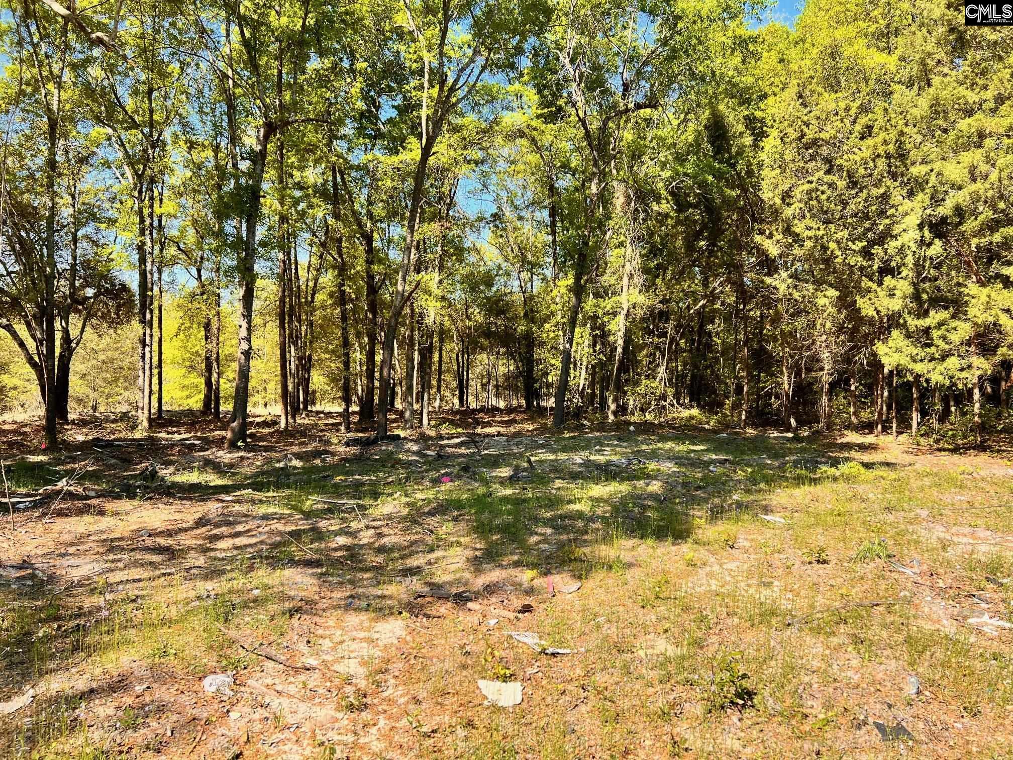 0 Shadow Lane Wagener, SC 29164 - Photo 3 of 6