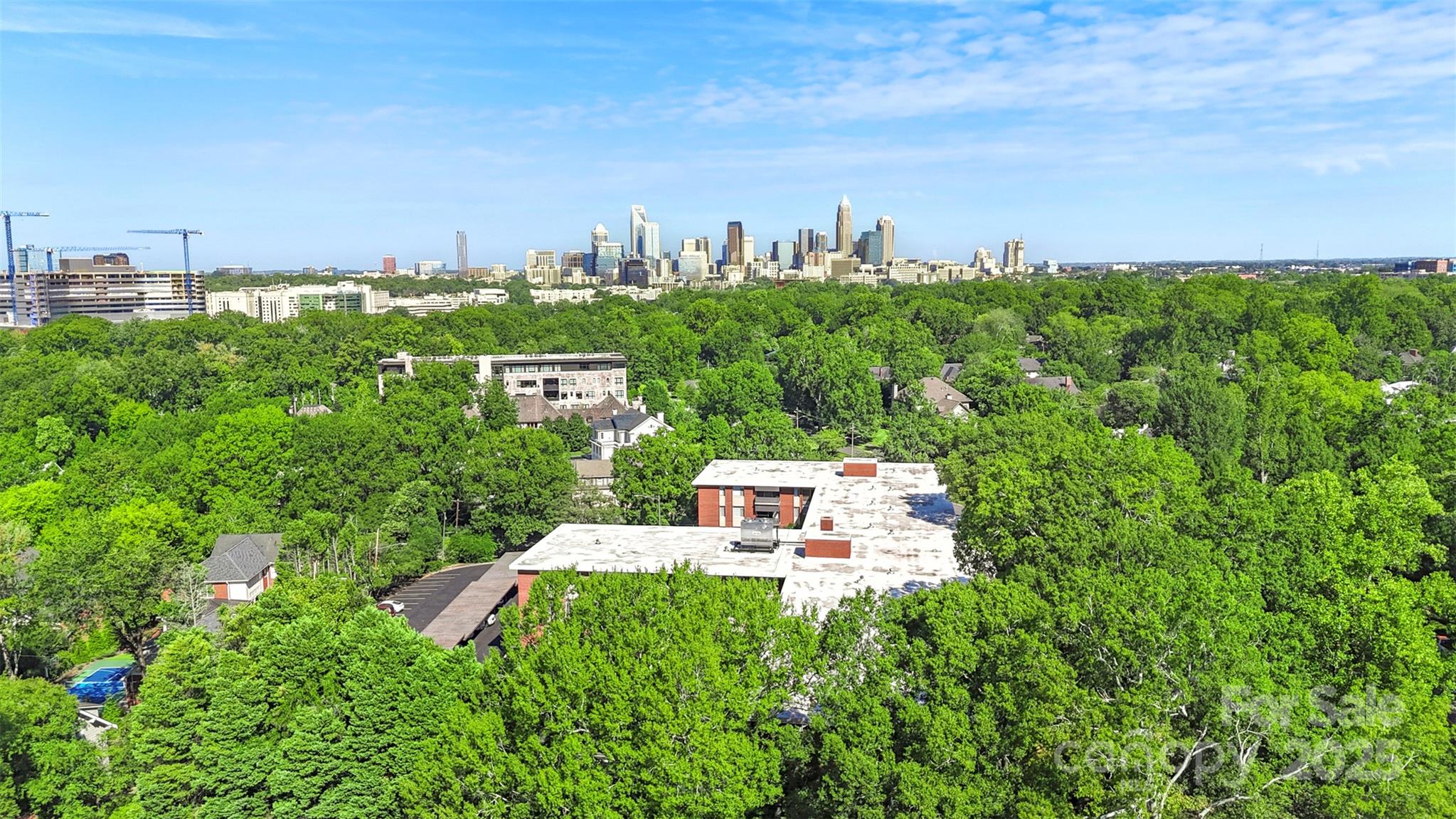 1300 Queens Road, Unit 402 Charlotte, NC 28207 - Photo 30 of 30