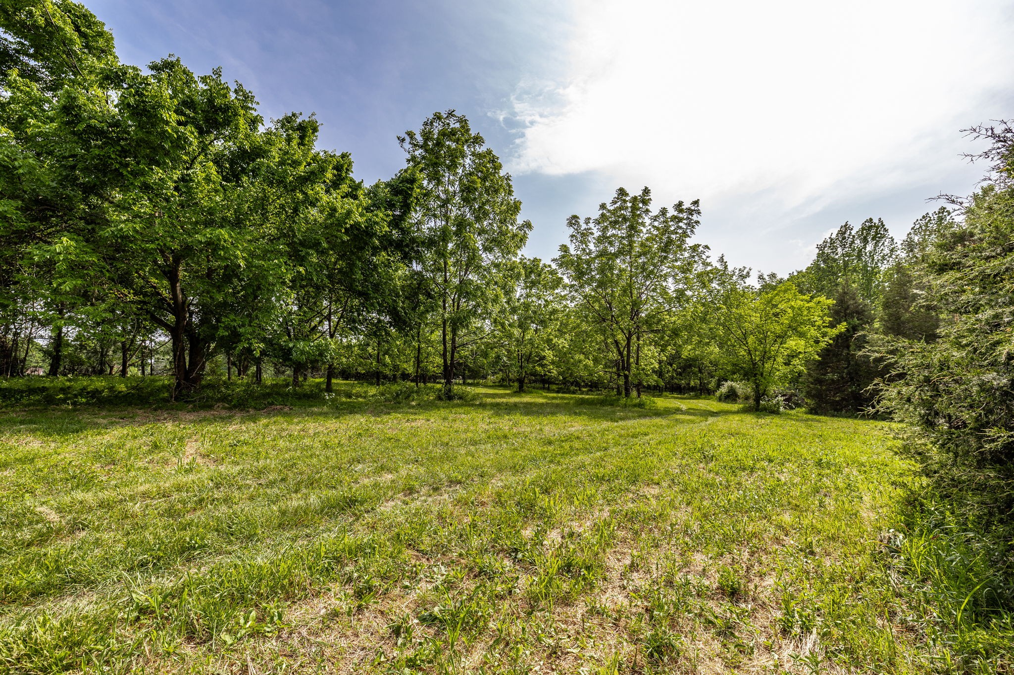 0 Robert Neal Durham Road Bethpage, TN 37022 - Photo 1 of 17 a view of a field with trees in the background