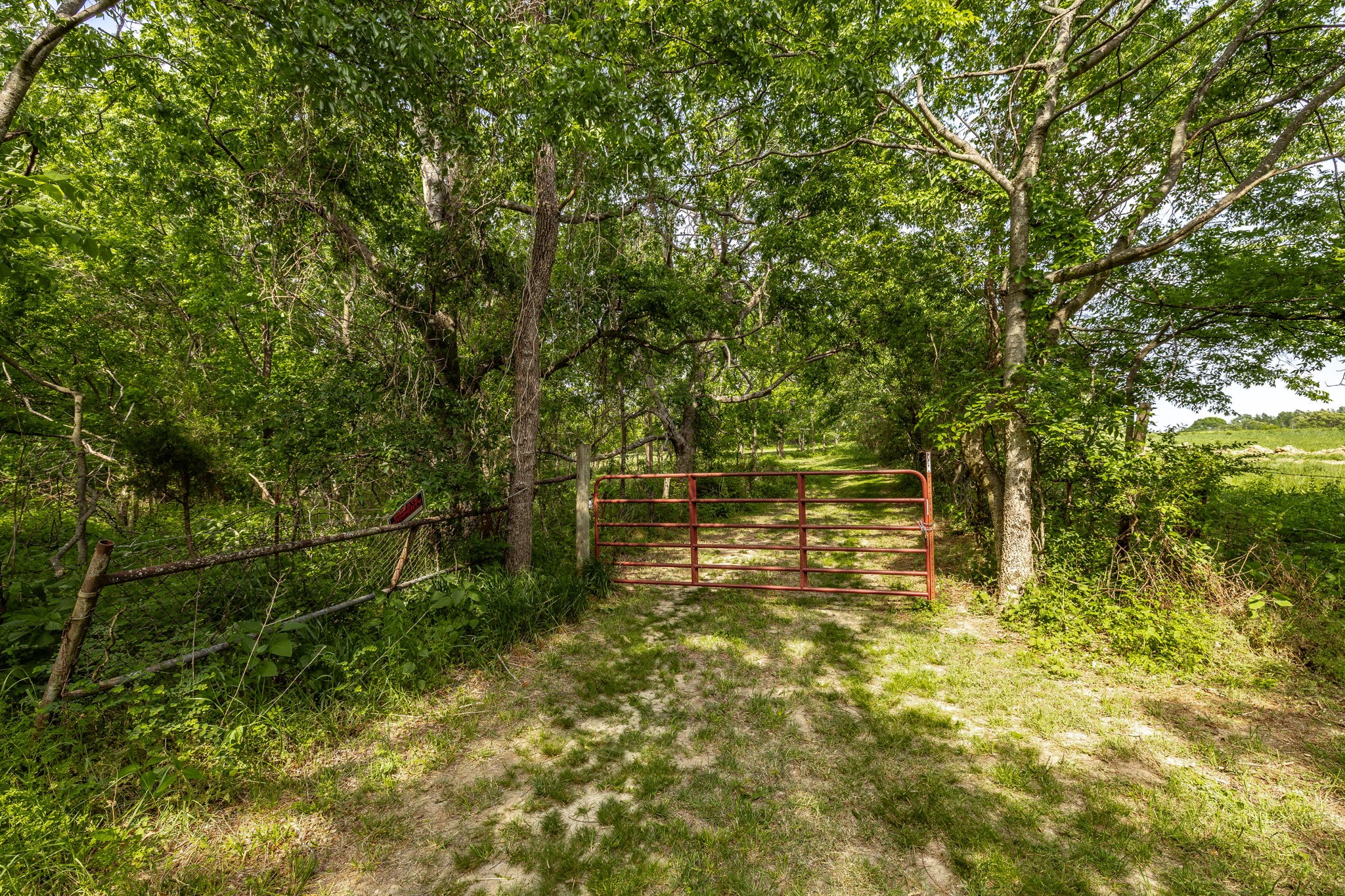 0 Robert Neal Durham Road Bethpage, TN 37022 - Photo 13 of 17 a view of yard