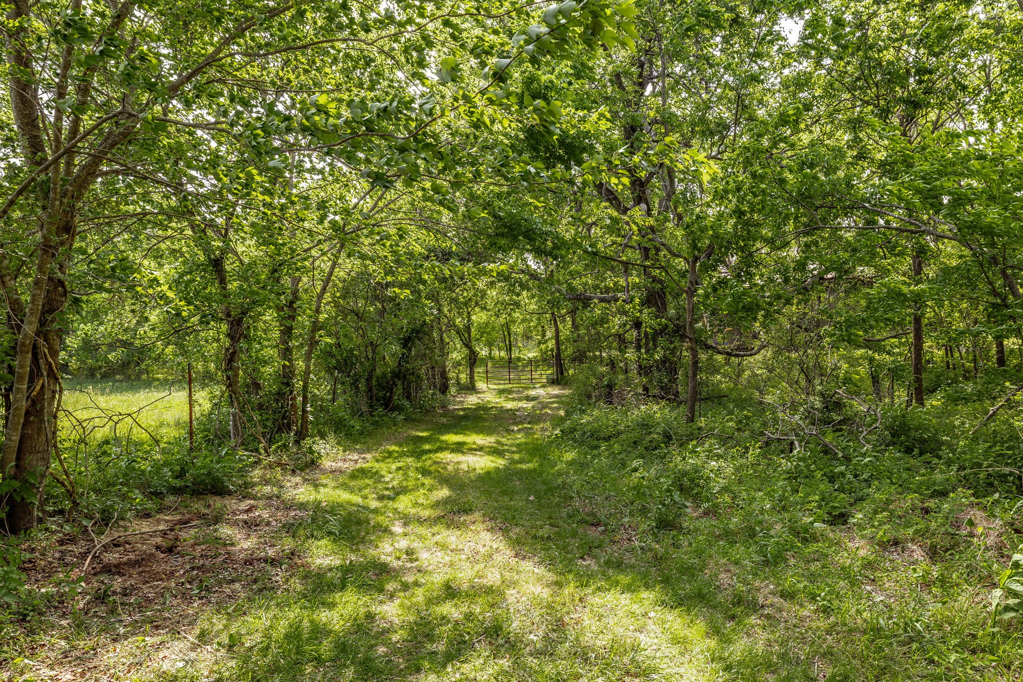 0 Robert Neal Durham Road Bethpage, TN 37022 - Photo 15 of 17 a big yard with lots of green space and trees