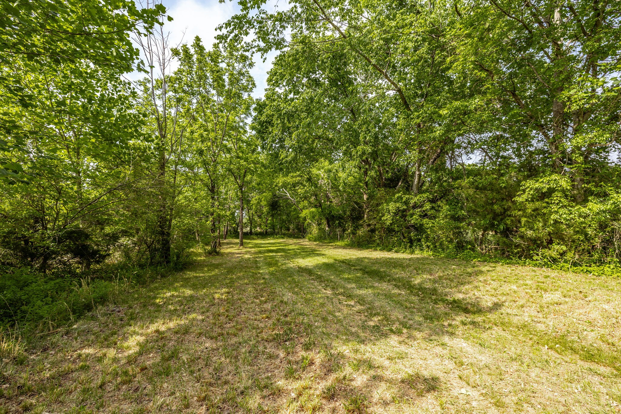0 Robert Neal Durham Road Bethpage, TN 37022 - Photo 16 of 17 a view of a yard with a tree