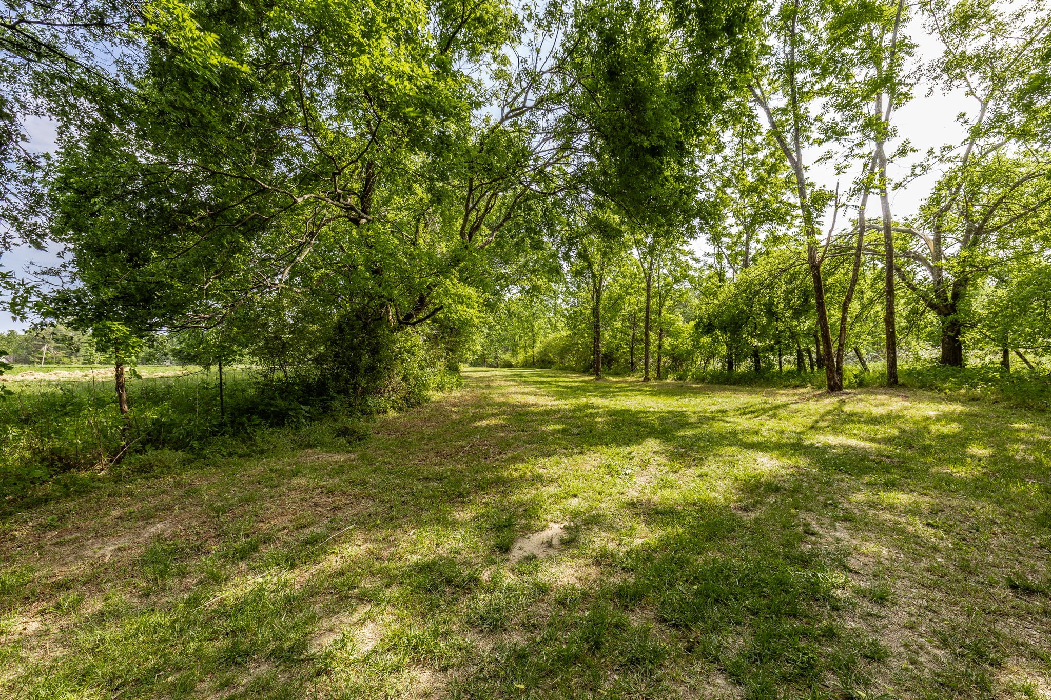 0 Robert Neal Durham Road Bethpage, TN 37022 - Photo 2 of 17 a view of outdoor space with trees all around