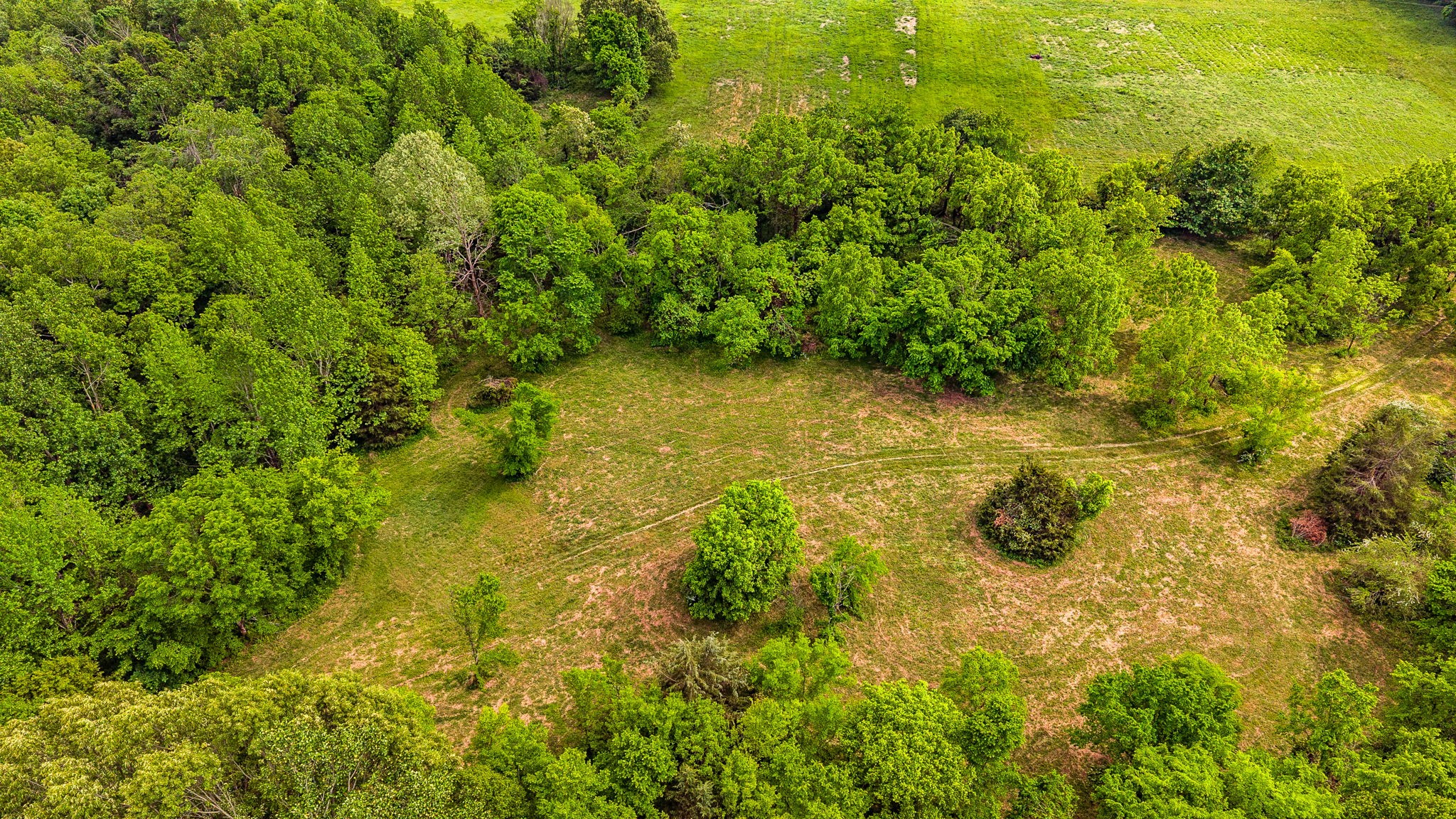 0 Robert Neal Durham Road Bethpage, TN 37022 - Photo 9 of 17 a view of a yard hardwood and floor