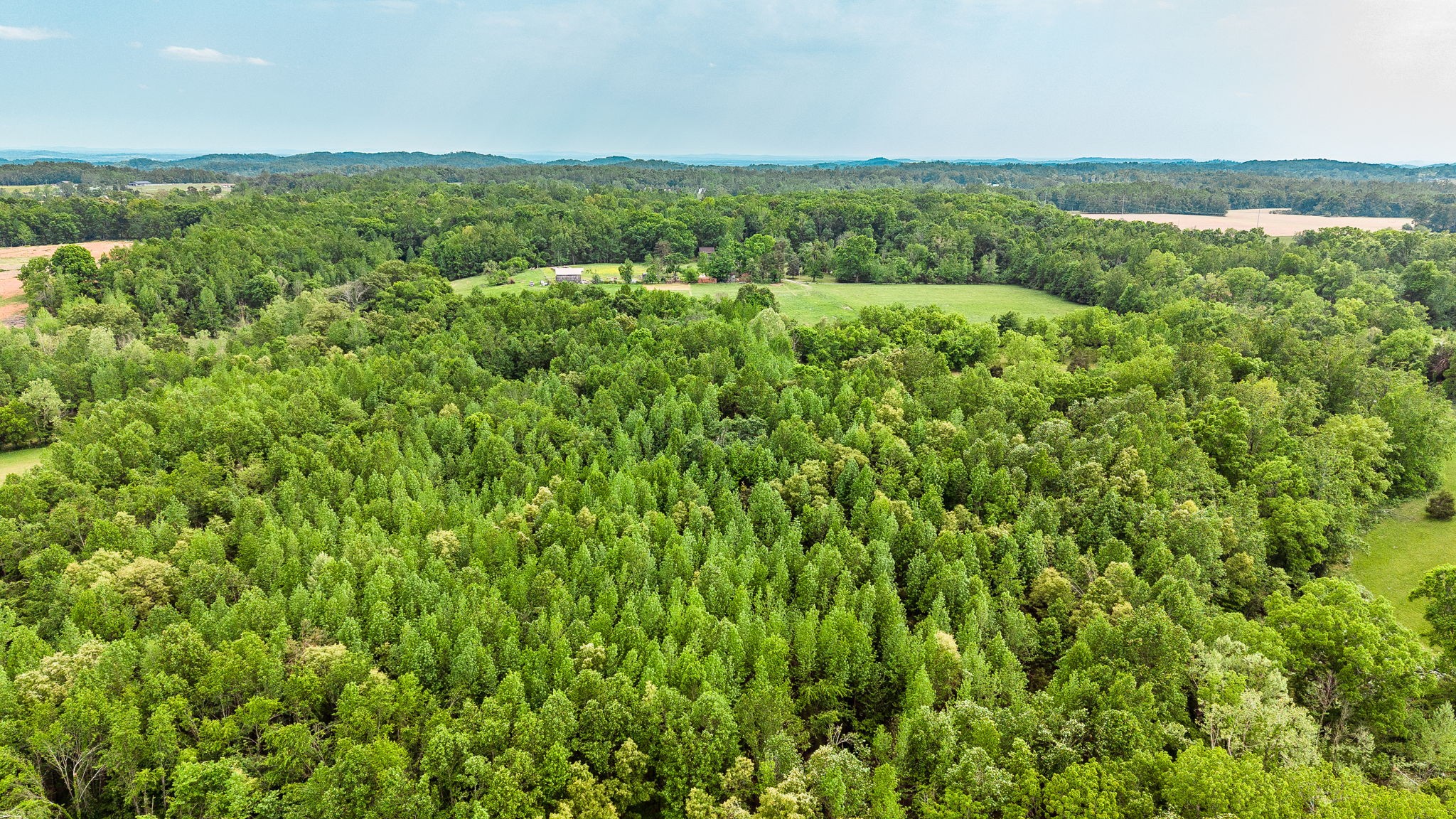 0 Robert Neal Durham Road Bethpage, TN 37022 - Photo 10 of 17 a view of a green field
