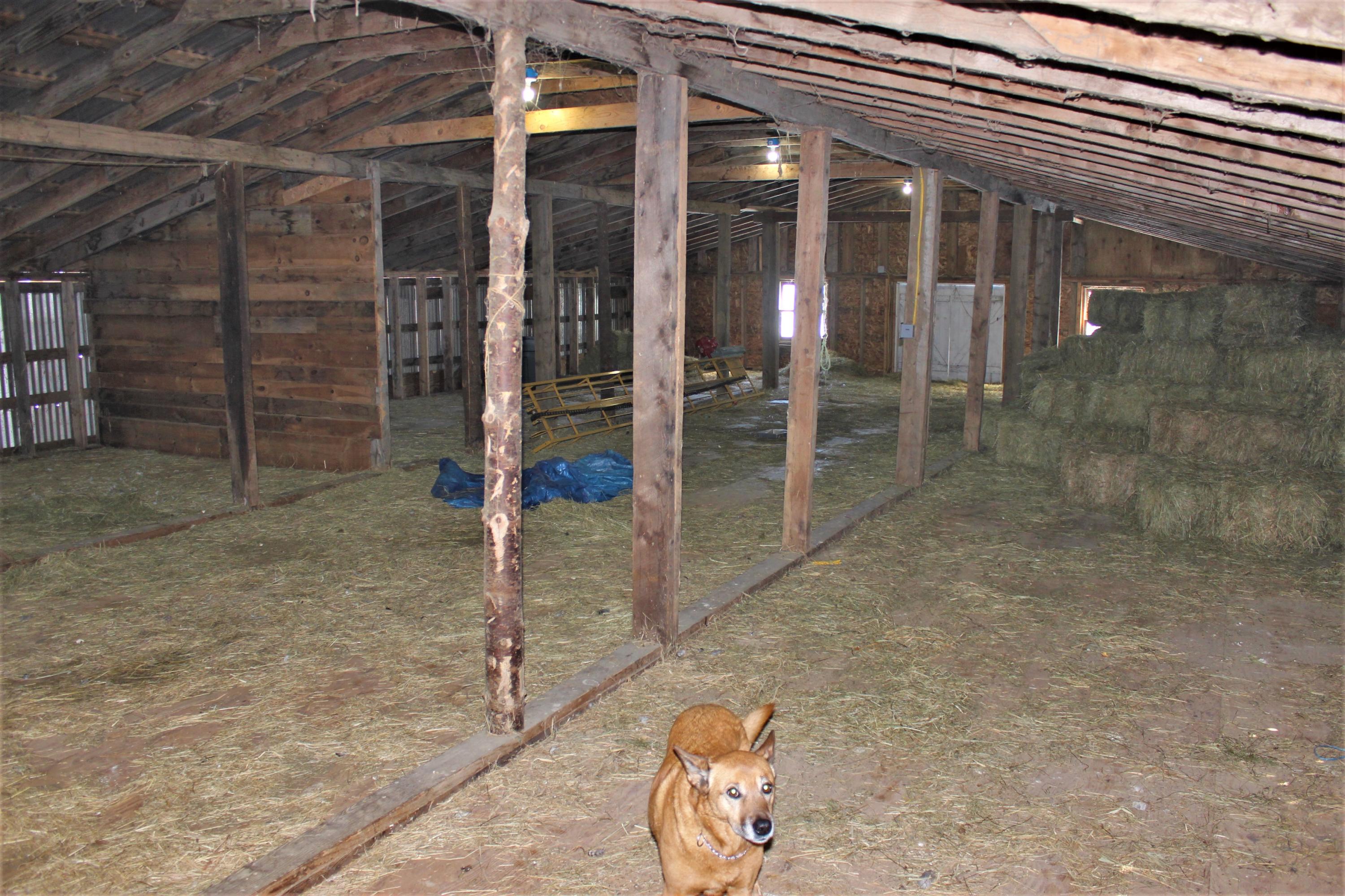 294 Gardiner Road Dresden, ME 04342 - Photo 26 of 35 IMG_8282