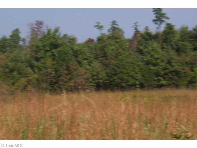 Lot 1 Volunteer Ridge Pinnacle, NC 27043 - Photo 5 of 9 Other.