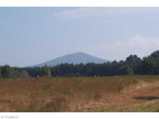 Lot 1 Volunteer Ridge Pinnacle, NC 27043 - Photo 6 of 9 Other.