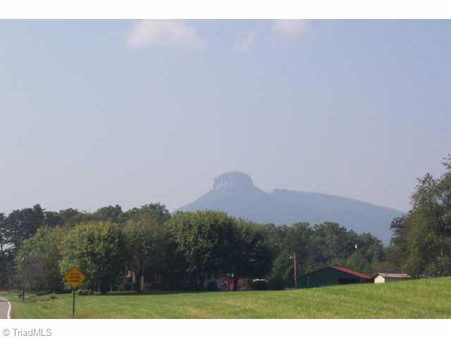 Lot 1 Volunteer Ridge Pinnacle, NC 27043 - Photo 8 of 9 Other.