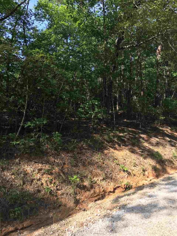 Todd Bridge Rd Todd Bridge Road Walhalla, SC 29691 - Photo 4 of 5 Gallery Image 4
