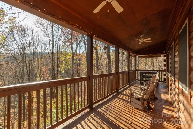 a view of trees from a window