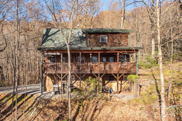 a view of a mountain in a field