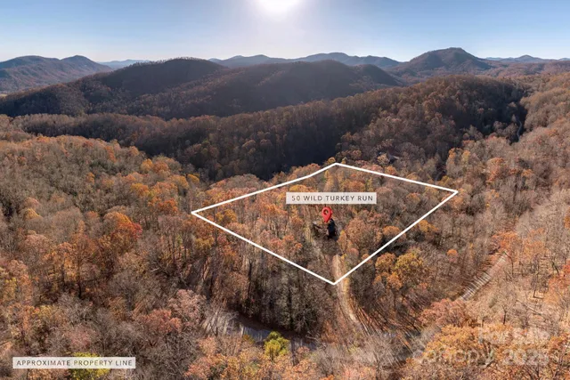 a view of a mountain