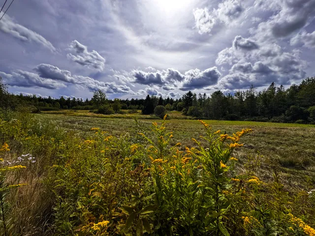 $80,000 | 219 Smith Ridge Road, Dennysville, ME 04628