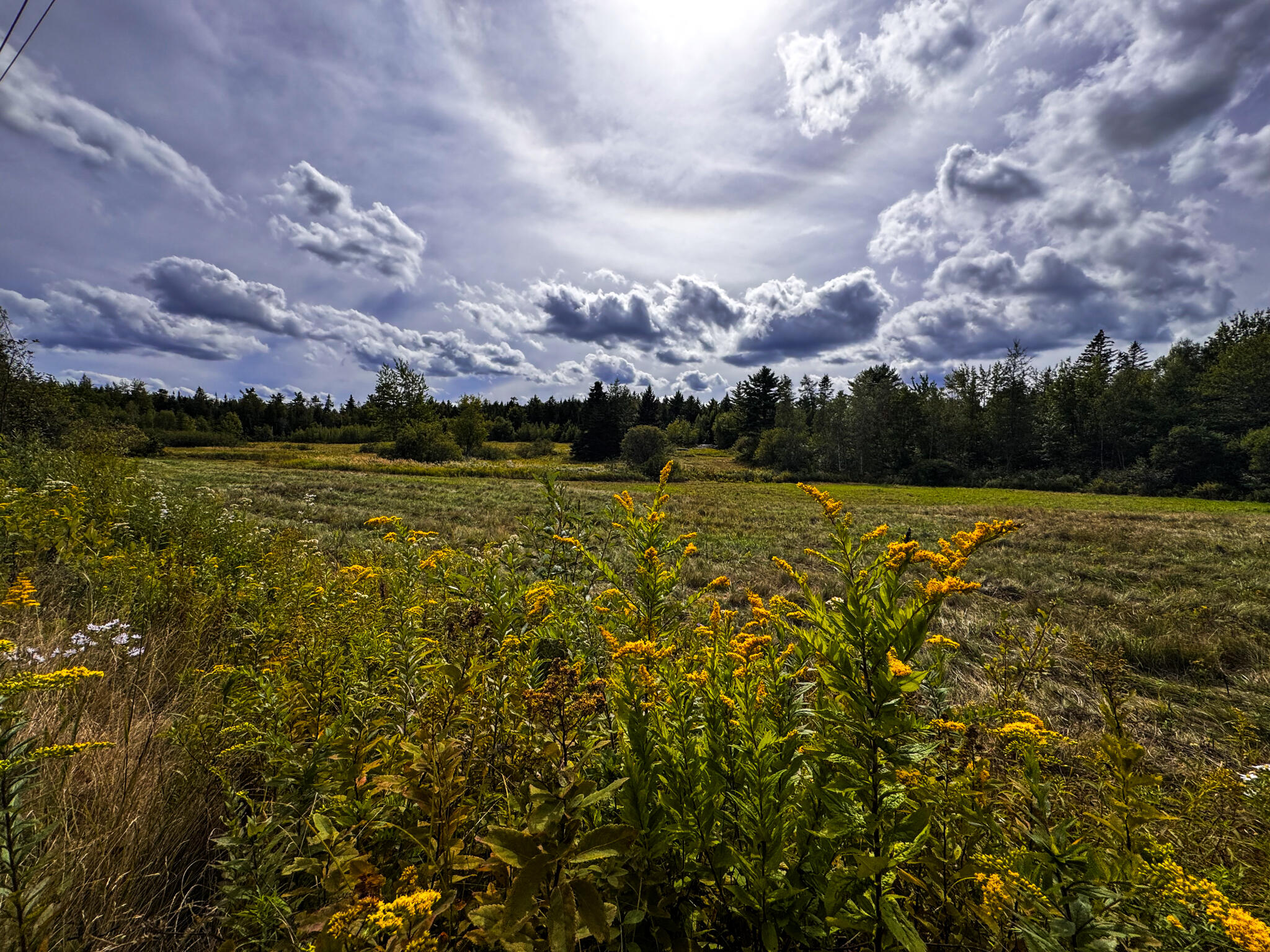 219 Smith Ridge Road Dennysville, ME 04628 - Photo 14 of 21 SmithRidgeRd-13