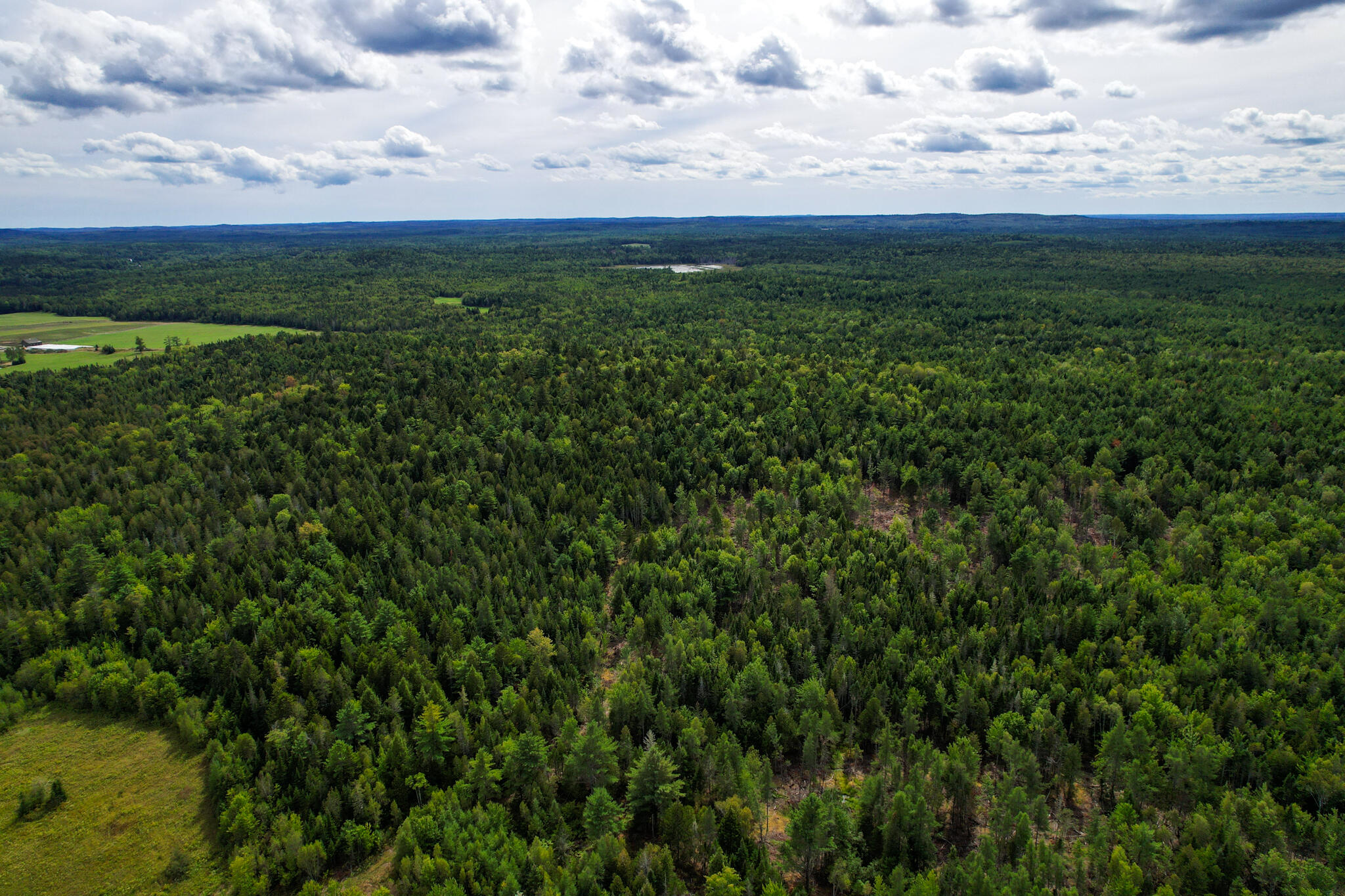 219 Smith Ridge Road Dennysville, ME 04628 - Photo 4 of 21 SmithRidgeRd-03