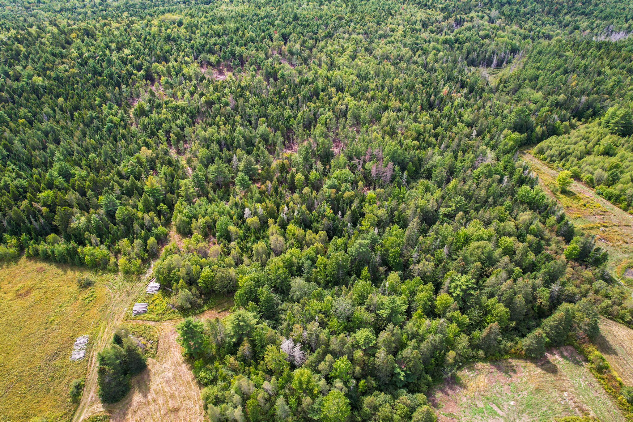 219 Smith Ridge Road Dennysville, ME 04628 - Photo 6 of 21 SmithRidgeRd-05