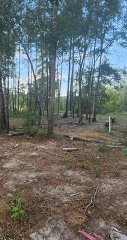 $55,900 | 2300 Cr 1520 Warren Tx 77664, Warren, TX 77664