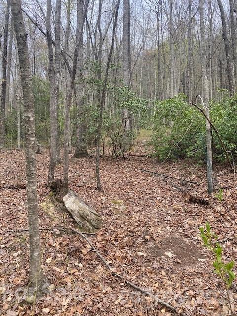 58 Lost Panther Road, Unit 58 Brevard, NC 28712 - Photo 3 of 12 Gallery Image 3