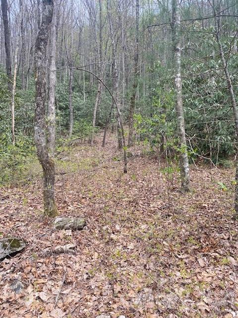 58 Lost Panther Road, Unit 58 Brevard, NC 28712 - Photo 4 of 12 Gallery Image 4