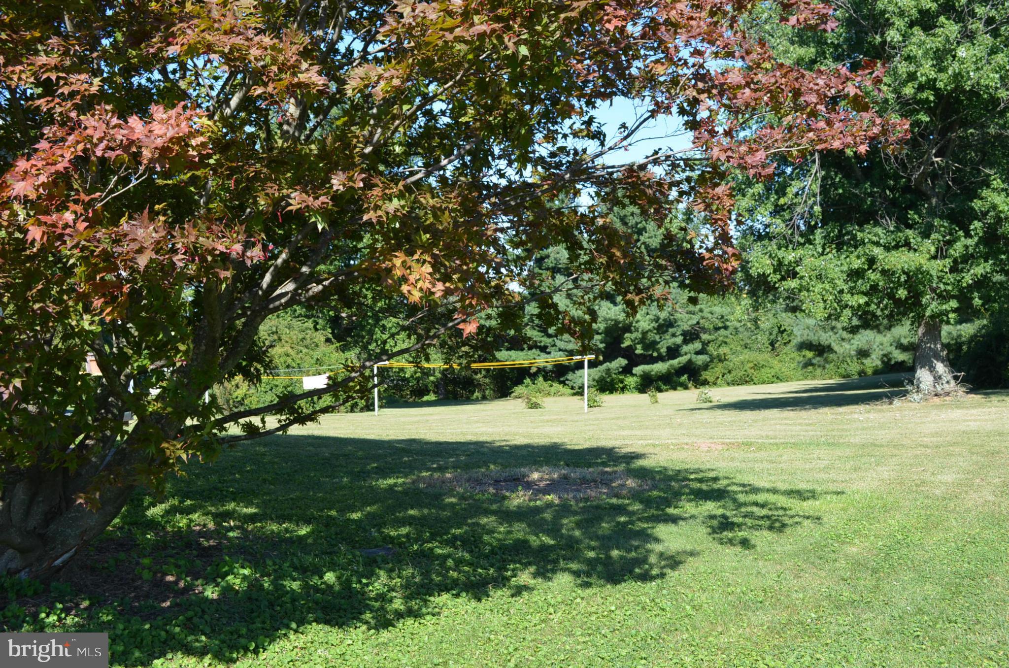 1406 Old Manchester Road Westminster, MD 21157 - Photo 28 of 29 mature trees