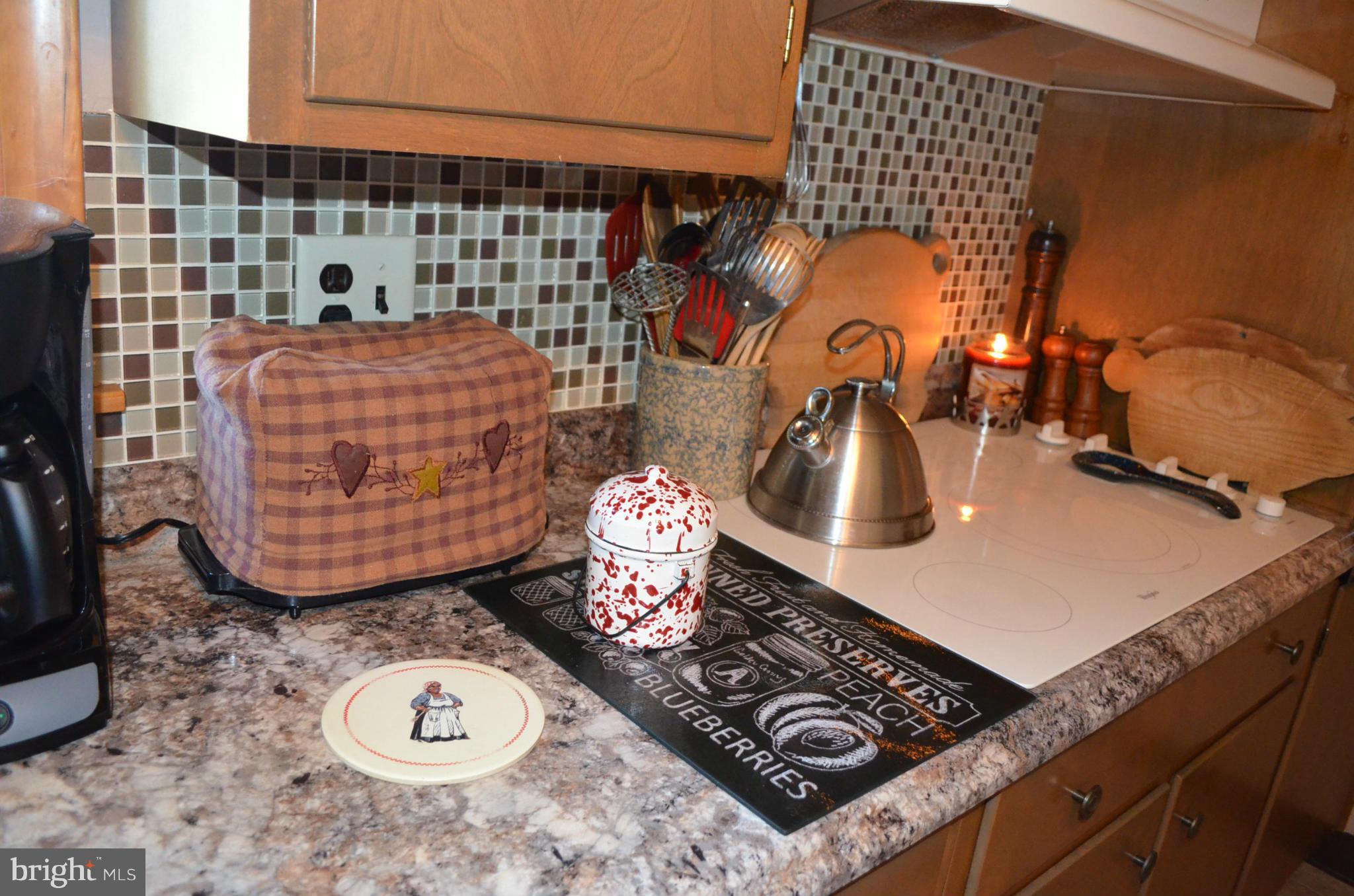 1406 Old Manchester Road Westminster, MD 21157 - Photo 9 of 29 new countertops and appliances