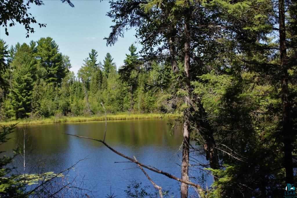 4849 Waisanen Road Embarrass, MN 55732 - Photo 3 of 21