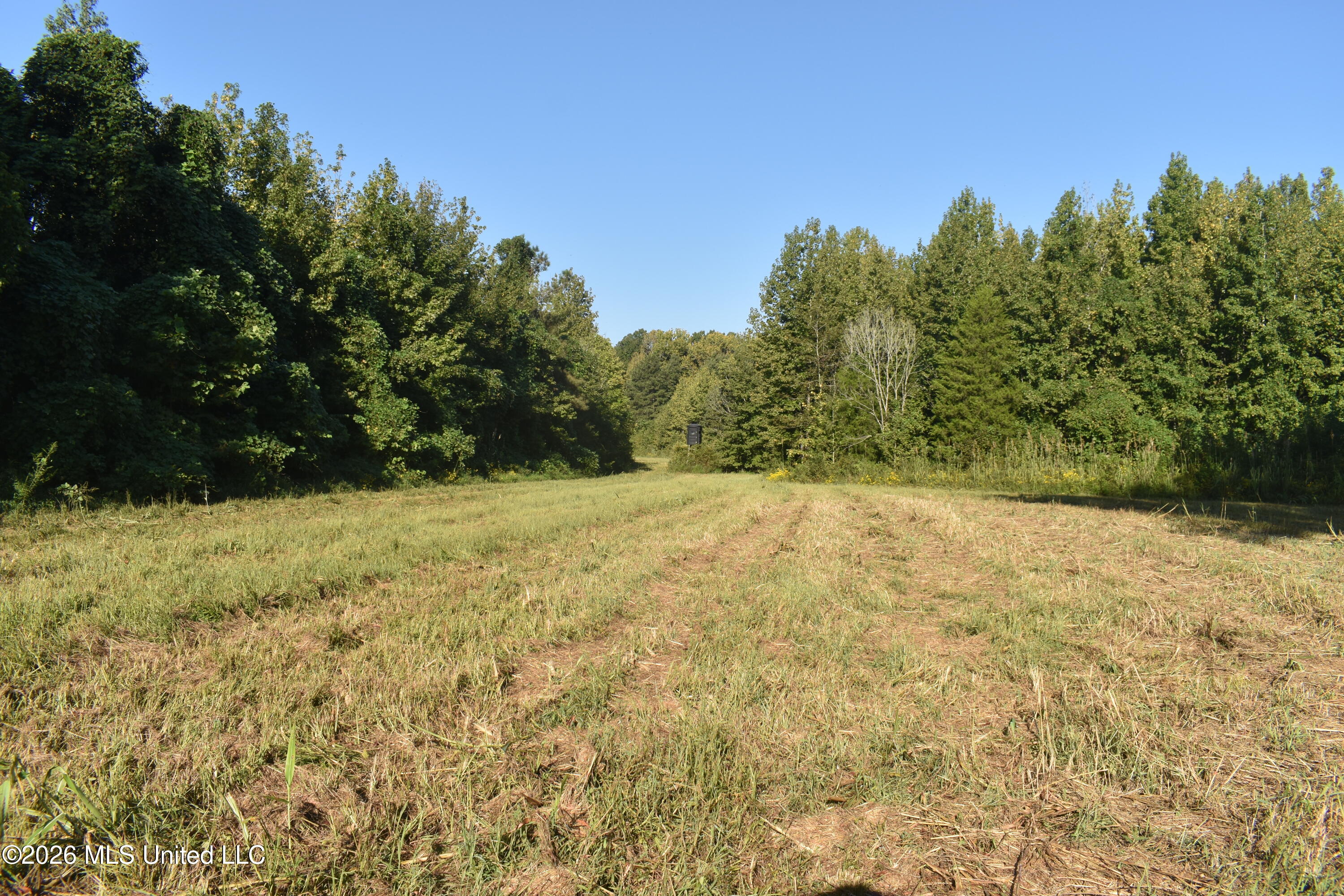 390 Old Panola Road Como, MS 38619 - Photo 17 of 71 DSC_0149