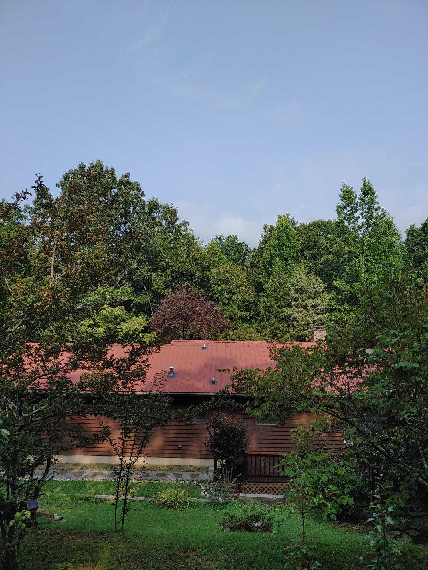 1812 Press Pickett Road Whitwell, TN 37397 - Photo 2 of 23 0731210905