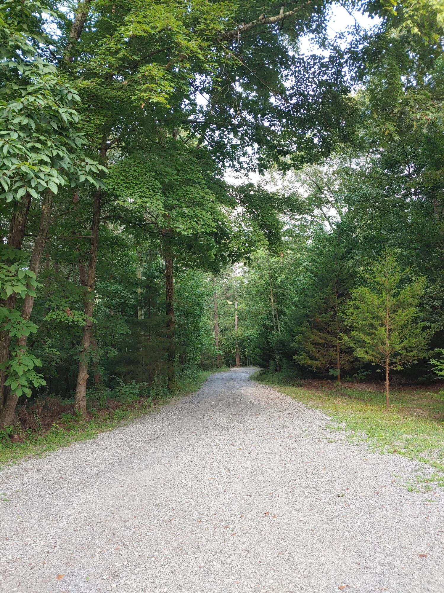 1812 Press Pickett Road Whitwell, TN 37397 - Photo 6 of 23 0731210817
