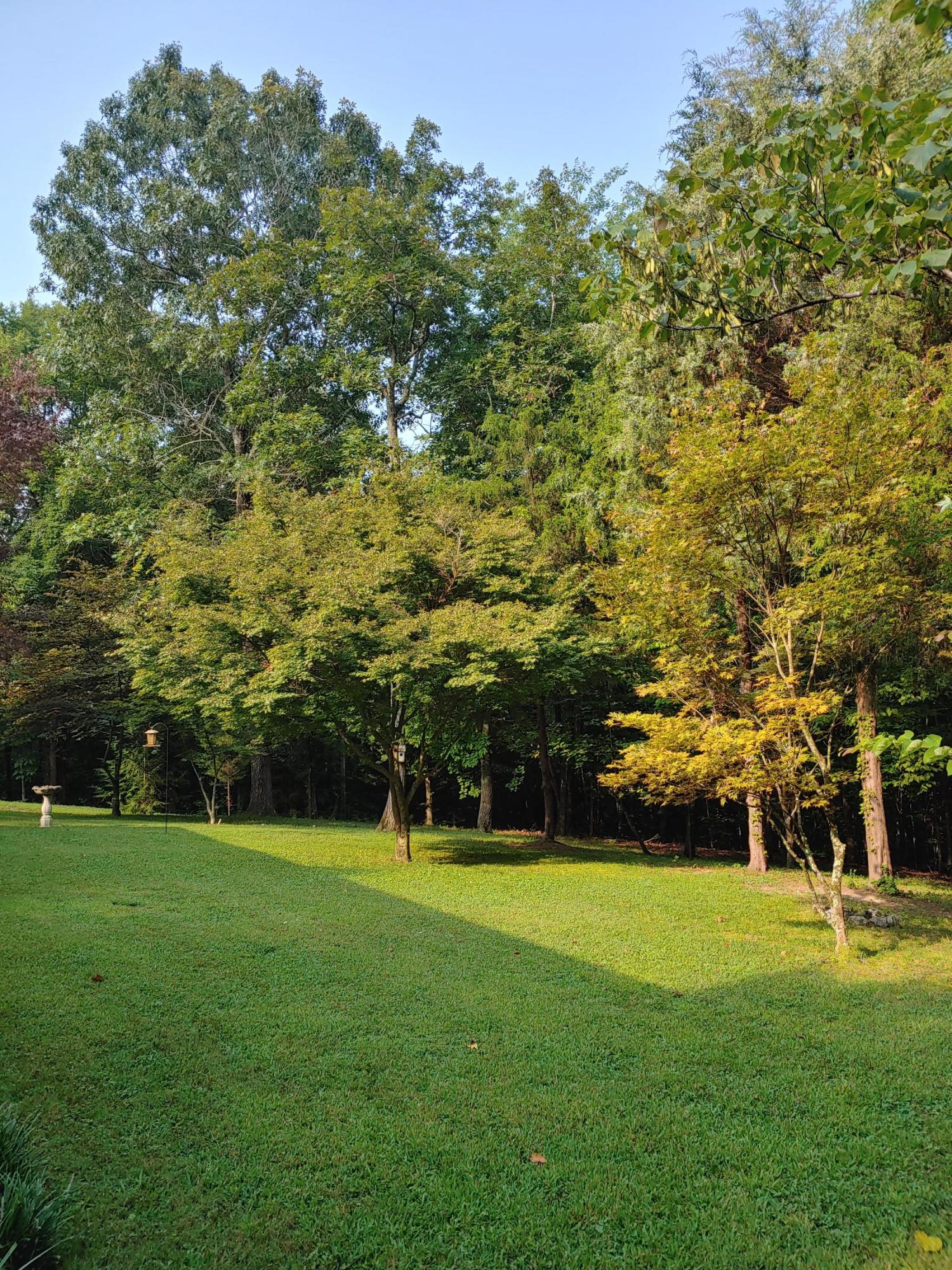 1812 Press Pickett Road Whitwell, TN 37397 - Photo 7 of 23 0731210831_HDR