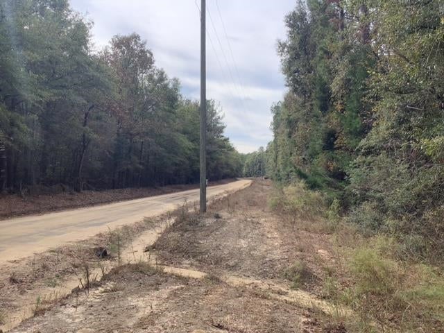 20736 Ray Armstrong Road Andalusia, AL 36421 - Photo 16 of 41 Gallery Image 16
