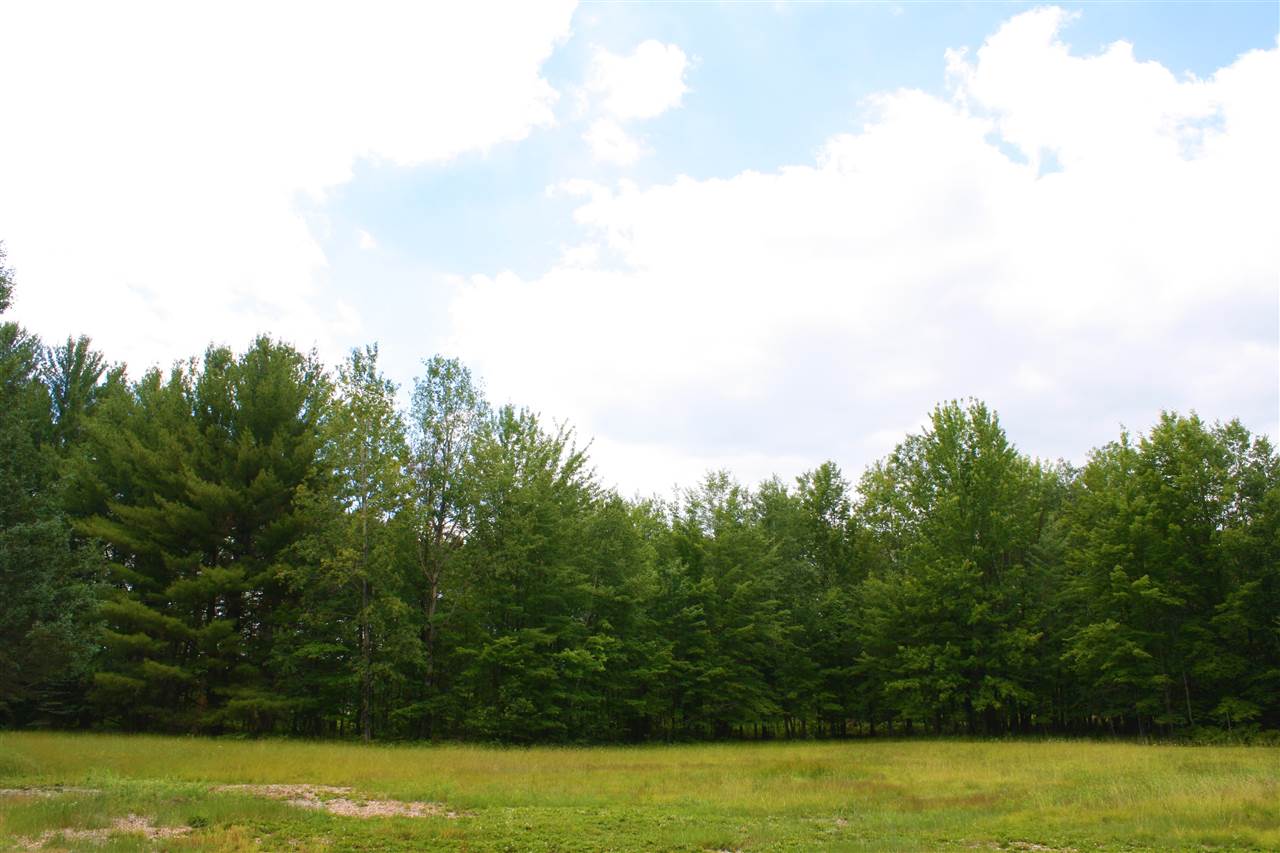 715 North Hockaday Road Gladwin, MI 48624 - Photo 10 of 24 1820159-9.JPG