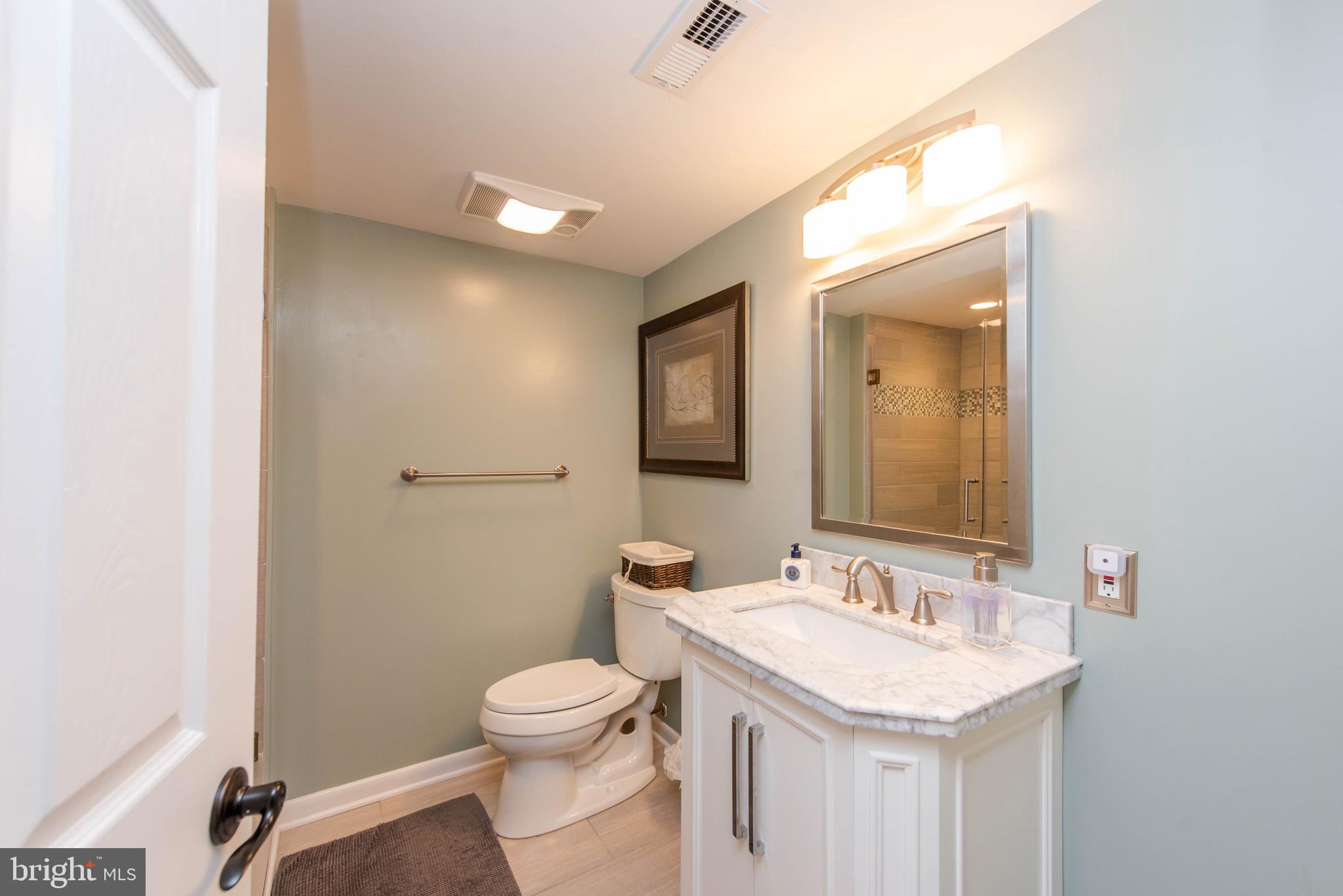 712 Dill Road Severna Park, MD 21146 - Photo 49 of 70 Basement / Full Bath