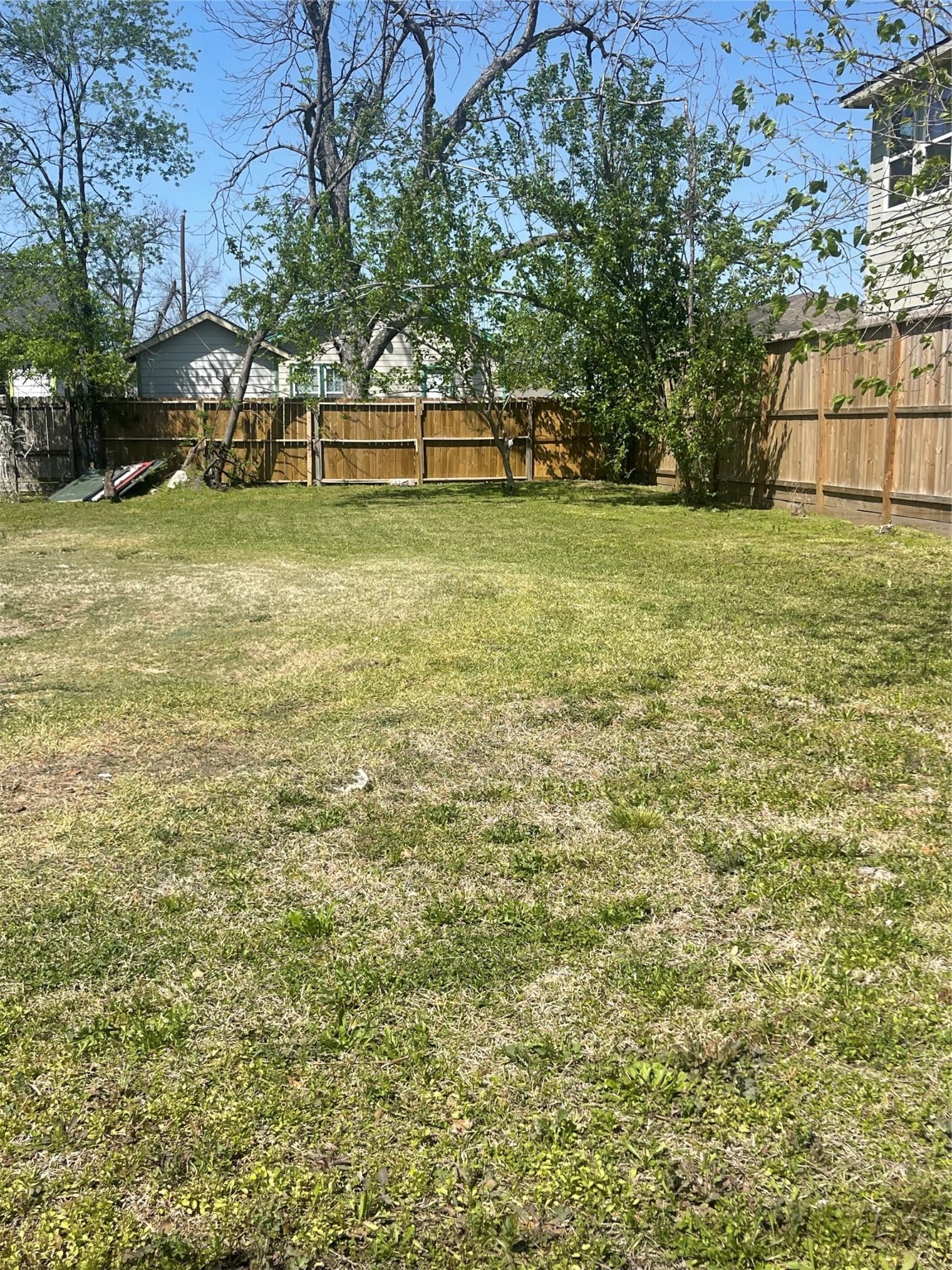 a view of a yard with large trees