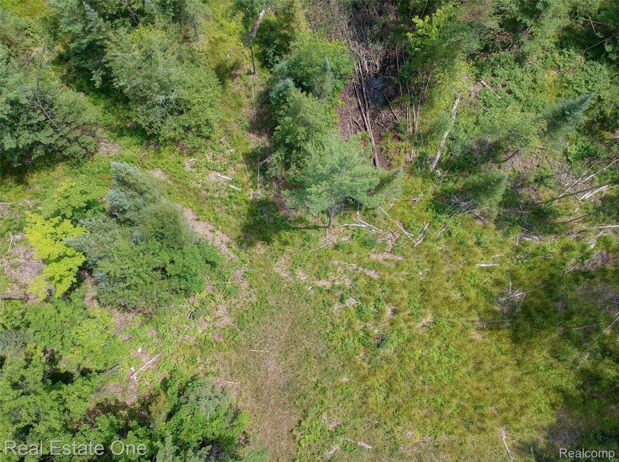 0 South Morrison Road Alger, MI 48610 - Photo 18 of 38 DJI-3422-3-4-MLS.jpg