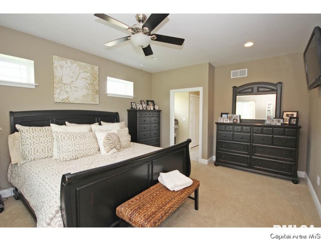 6475 Lehmann Road Pleasant Plains, IL 62677 - Photo 13 of 36 Gallery Image 13