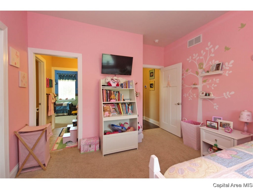 6475 Lehmann Road Pleasant Plains, IL 62677 - Photo 22 of 36 Gallery Image 22