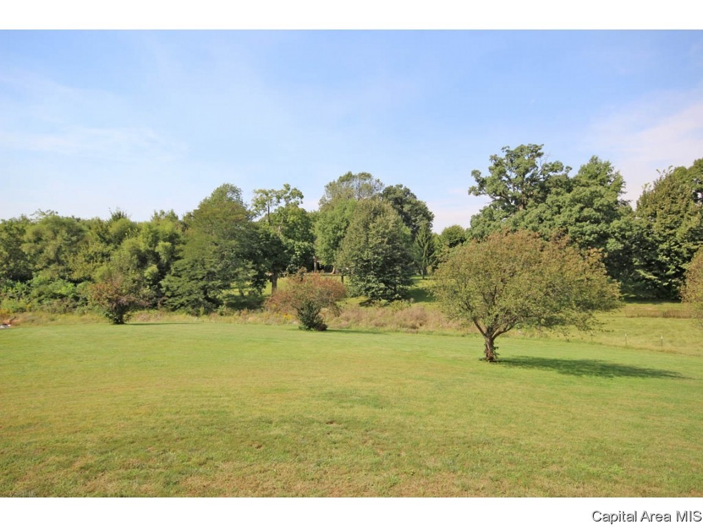 6475 Lehmann Road Pleasant Plains, IL 62677 - Photo 25 of 36 Gallery Image 25
