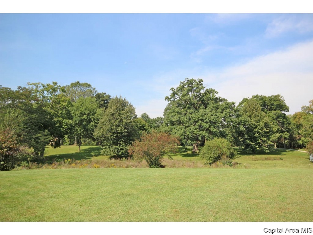 6475 Lehmann Road Pleasant Plains, IL 62677 - Photo 27 of 36 Gallery Image 27