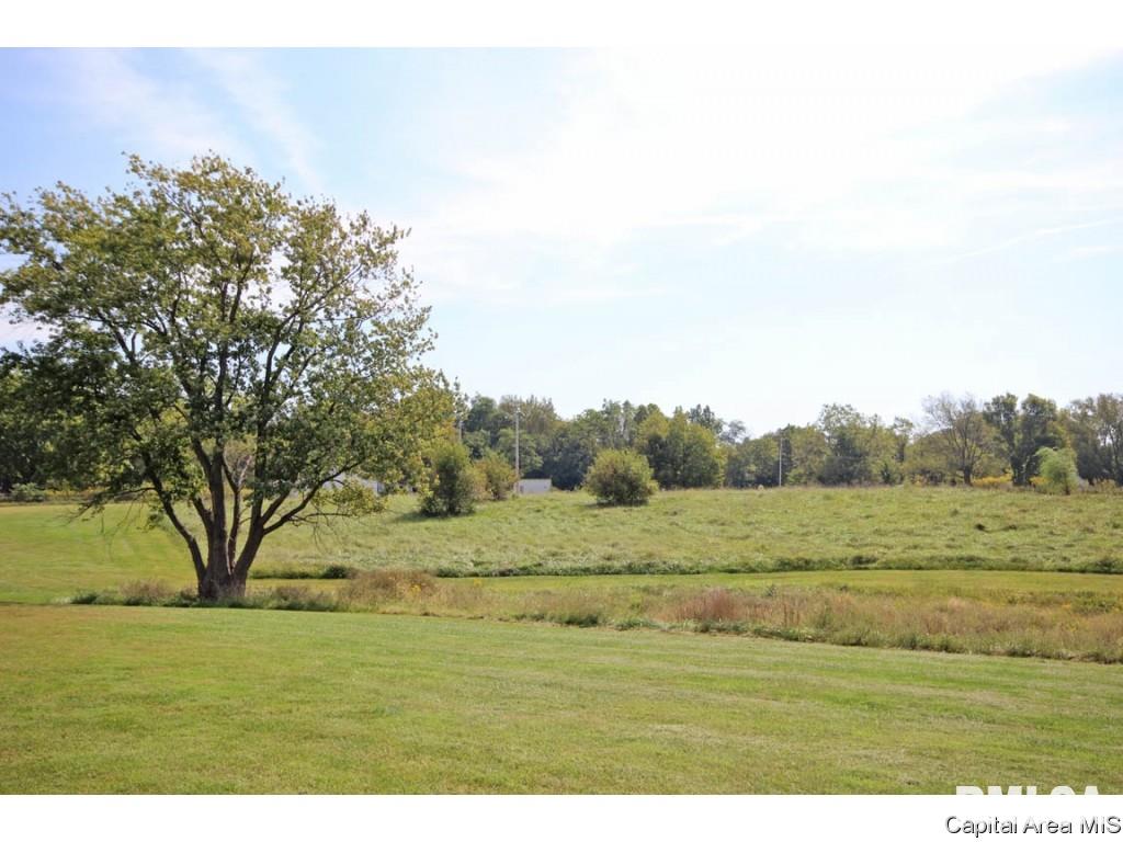 6475 Lehmann Road Pleasant Plains, IL 62677 - Photo 30 of 36 Gallery Image 30
