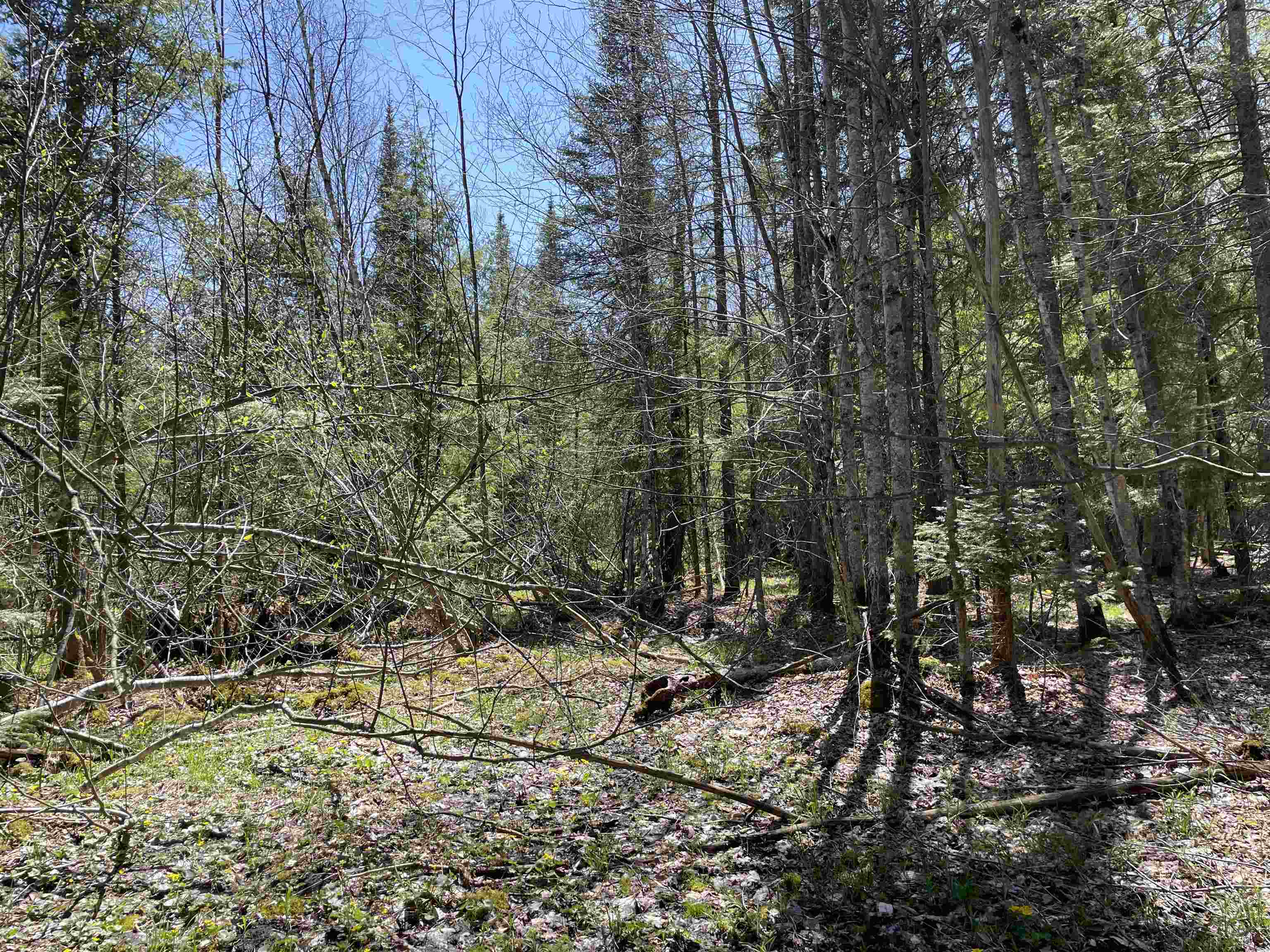 0 East 38 Road Cadillac, MI 49601 - Photo 32 of 39