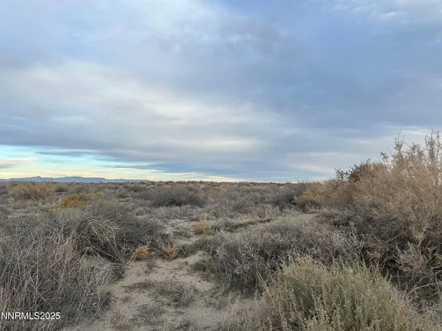 a view of beach and ocean