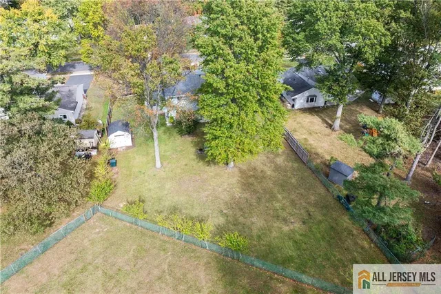 a view of a yard with plants