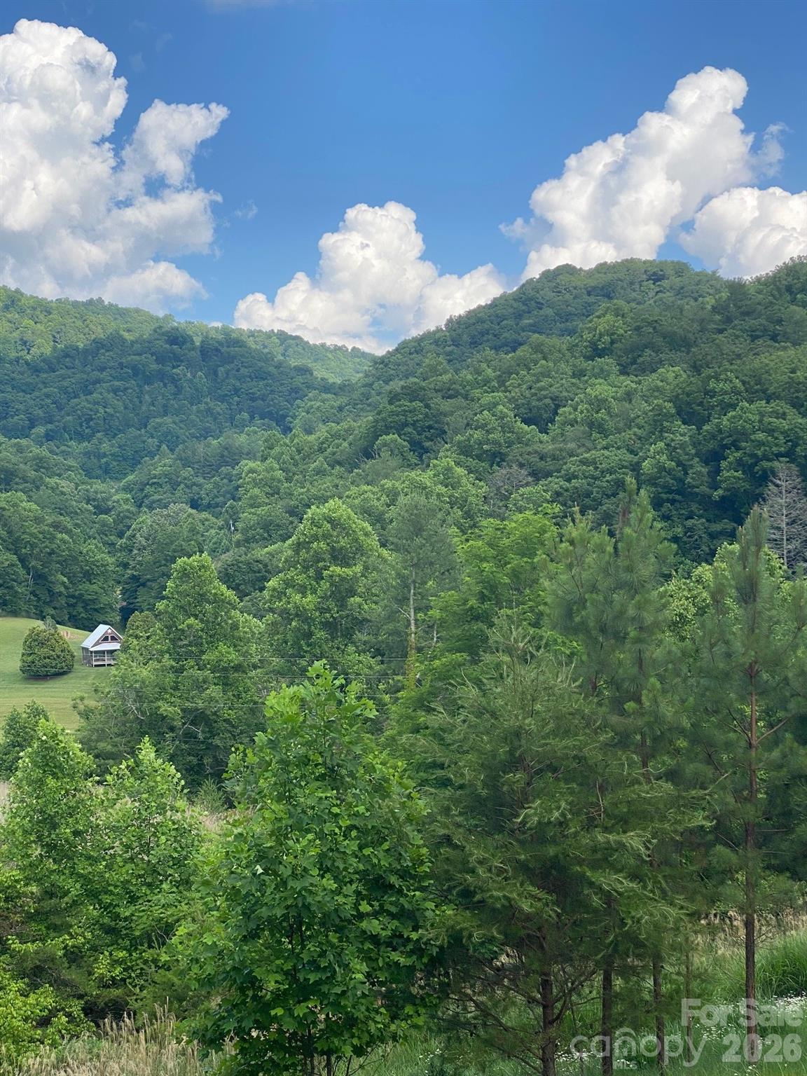 0 East Fork Road Marshall, NC 28753 - Photo 11 of 22