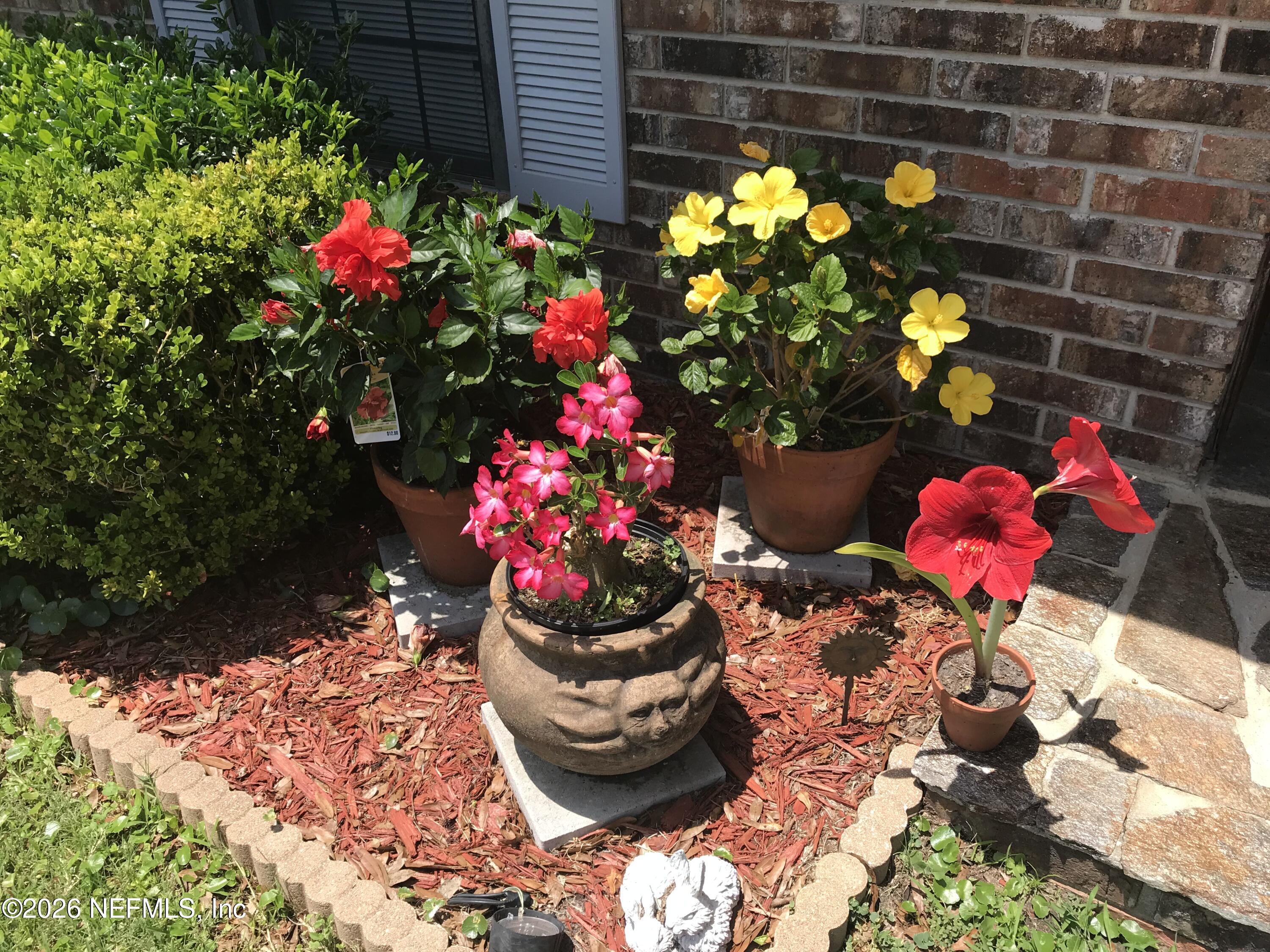 268 Wesley Road Green Cove Springs, FL 32043 - Photo 18 of 84 017IMG_1408