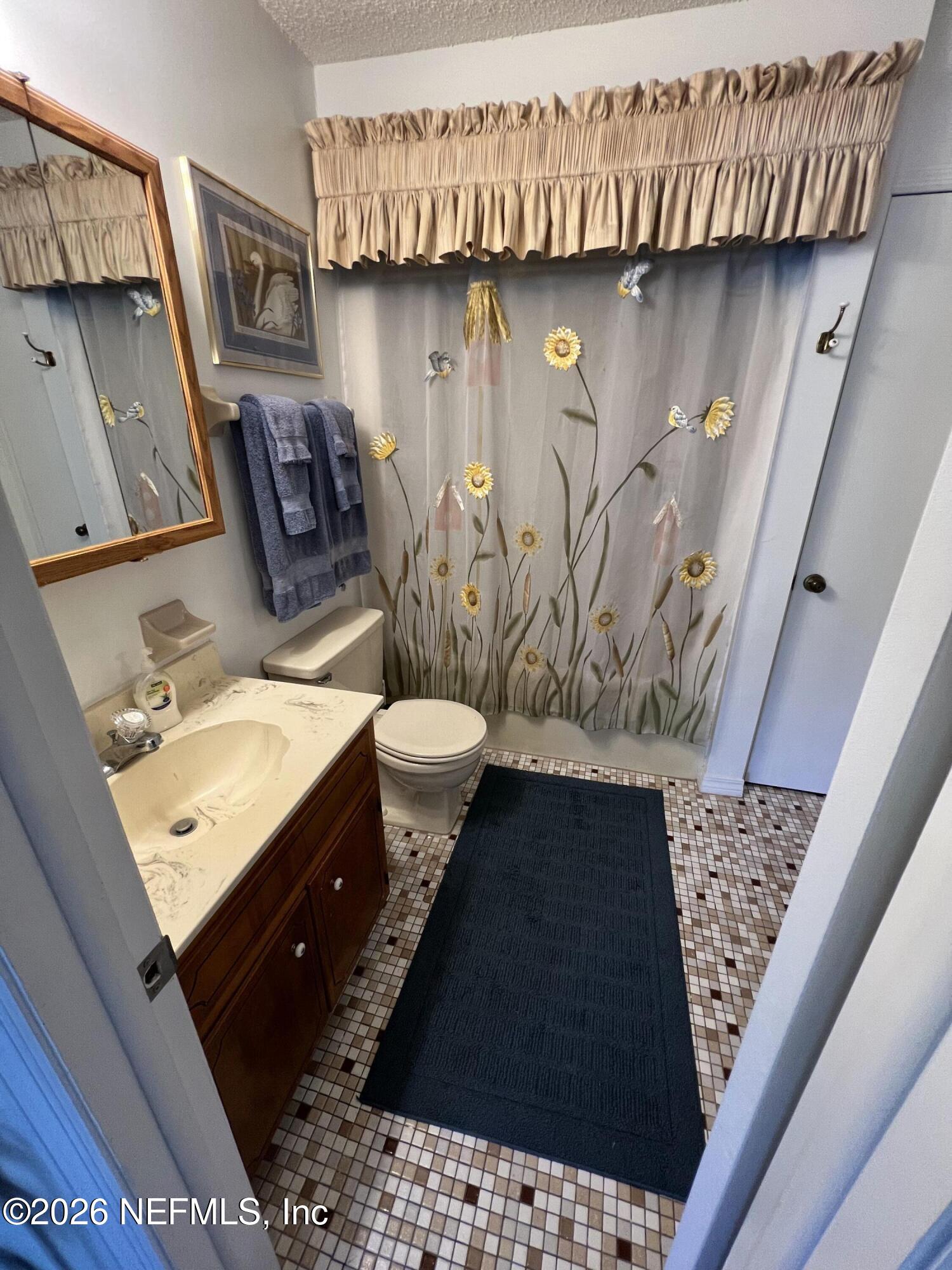 268 Wesley Road Green Cove Springs, FL 32043 - Photo 66 of 84 a bathroom with a sink toilet and shower