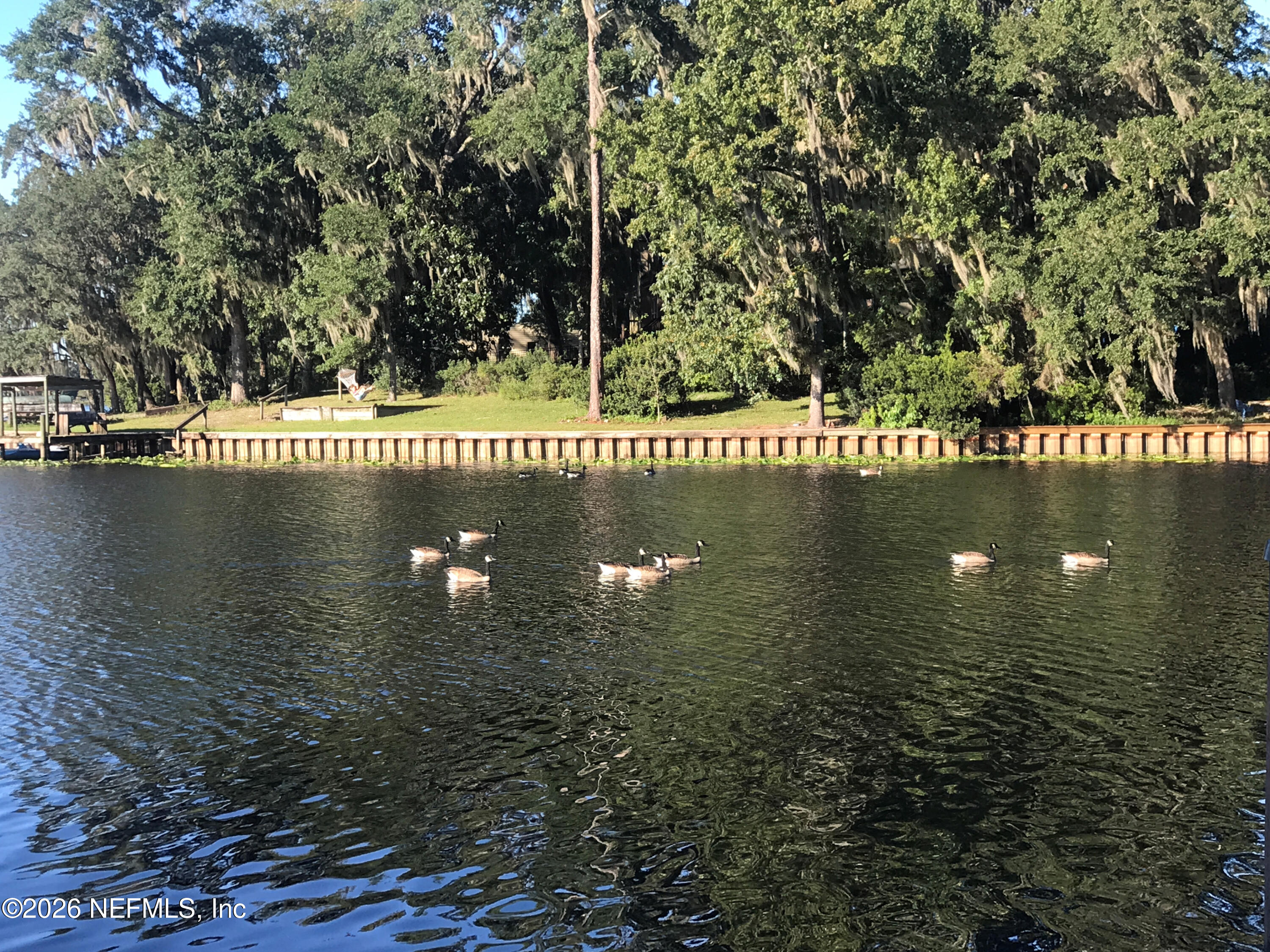 268 Wesley Road Green Cove Springs, FL 32043 - Photo 80 of 84 a view of lake
